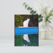 Reflectie van een wit kattenportret briefkaart (Staand voorkant)