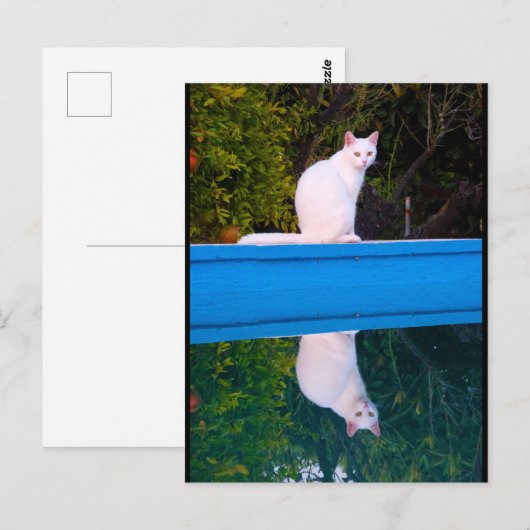 Reflectie van een wit kattenportret briefkaart (Voorkant / Achterkant)