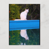 Reflectie van een wit kattenportret briefkaart (Voorkant)