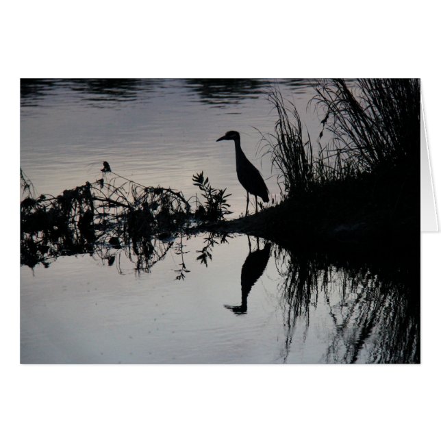 Reflectie van Heron aan de oever op zonsondergang (Voorkant Horizontaal)
