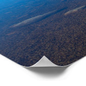 Reflectie van het Cradle Mountain- en Dove-meer Poster (Hoek)