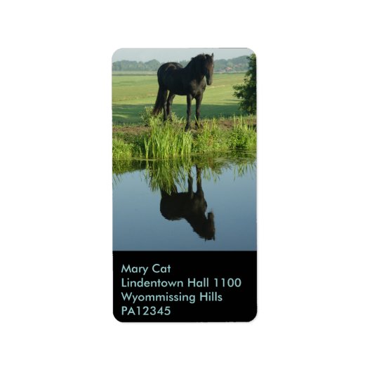 Reflectie voor Friesian Horse in water Etiket (Voorkant)