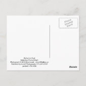 Reflectiepool Briefkaart (Achterkant)