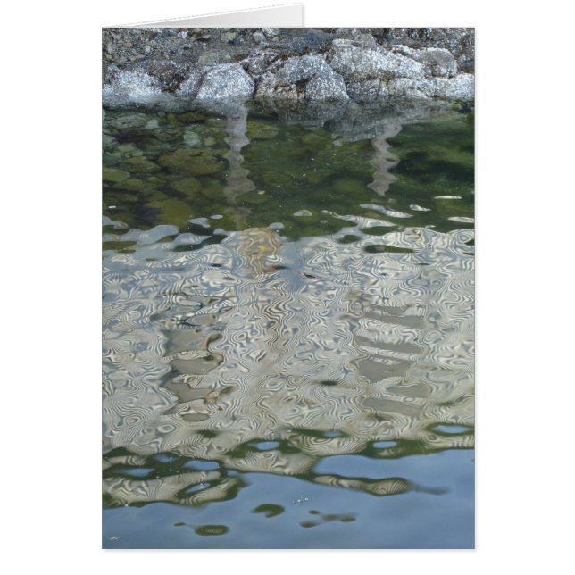 Reflecties (Voorkant)