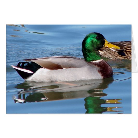 Reflecties (Voorkant Horizontaal)