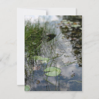 Reflecties aan de waterkant  briefkaart
