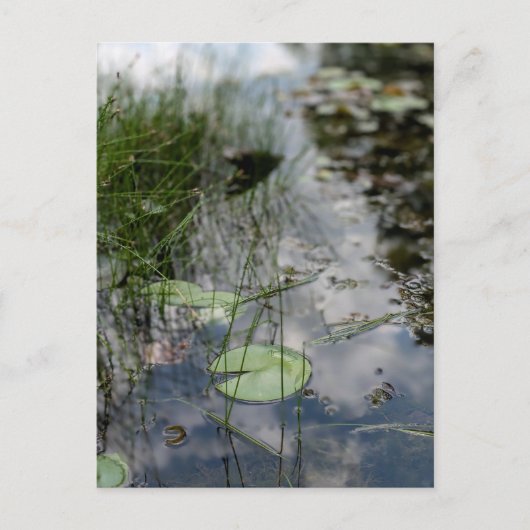 Reflecties aan de waterkant briefkaart (Voorkant)
