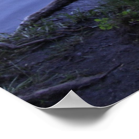 Reflecties - Boom Poster (Hoek)