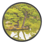 Reflecties Hockey Puck (Voorkant)