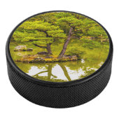 Reflecties Hockey Puck (3/4)