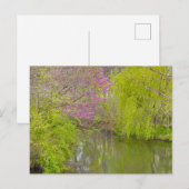 Reflecties in de Natuur Briefkaart (Voorkant / Achterkant)