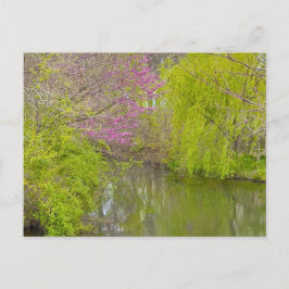 Reflecties in de Natuur Briefkaart