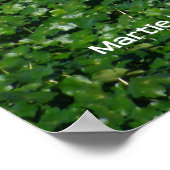 Reflecties in het groen poster (Hoek)