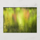 Reflecties in het Mirror Lake | Josemiet Briefkaart (Voorkant)