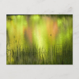 Reflecties in het Mirror Lake Josemiet Briefkaart