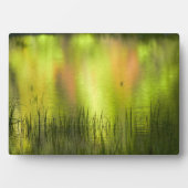 Reflecties in het Mirror Lake | Josemiet Fotoplaat (voorkant)