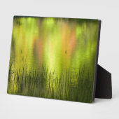 Reflecties in het Mirror Lake | Josemiet Fotoplaat (Zijkant)