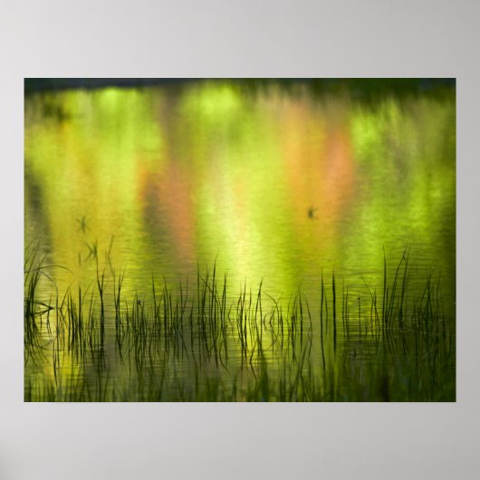 Reflecties in het Mirror Lake | Josemiet Poster (Voorkant)