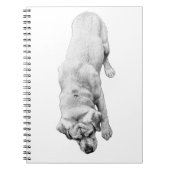 Reflecties in inkt notitieboek (Voorkant)