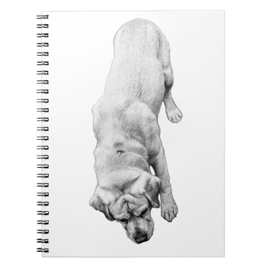 Reflecties in inkt notitieboek (Voorkant)