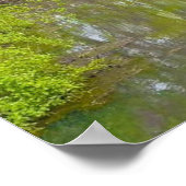 Reflecties in Natuur 11 "x14" Wall Poster (Hoek)