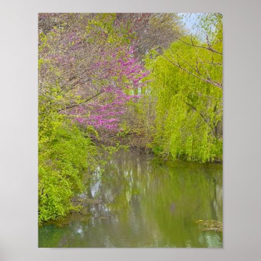 Reflecties in Natuur 11 "x14" Wall Poster (Voorkant)