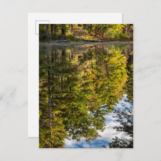 Reflecties in Red Eagle Pond | Witte bergen Briefkaart (Voorkant / Achterkant)