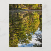 Reflecties in Red Eagle Pond | Witte bergen Briefkaart (Voorkant)