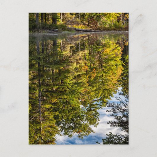 Reflecties in Red Eagle Pond | Witte bergen Briefkaart (Voorkant)