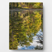 Reflecties in Red Eagle Pond | Witte bergen Fotoplaat (voorkant)