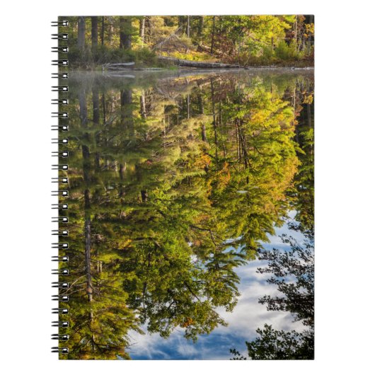 Reflecties in Red Eagle Pond | Witte bergen Notitieboek (Voorkant)