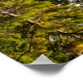 Reflecties in Red Eagle Pond | Witte bergen Poster (Hoek)