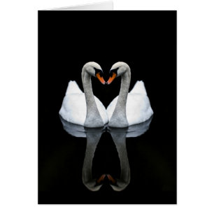 Reflecties of Love, Heart Shape, White Swans