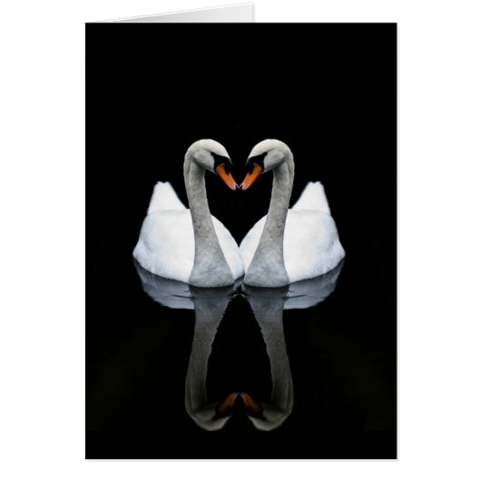 Reflecties of Love, Heart Shape, White Swans (Voorkant)