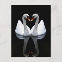 Reflecties of Love, Heart Shape, White Swans