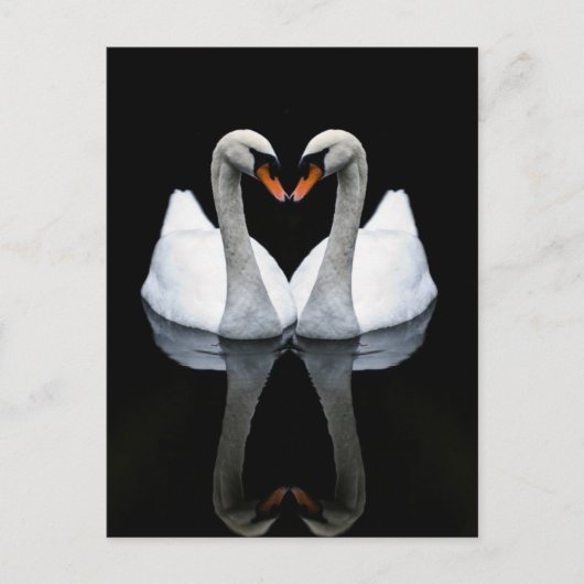 Reflecties of Love, Heart Shape, White Swans Briefkaart (Voorkant)