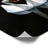 Reflecties of Love, Heart Shape, White Swans Poster (Hoek)