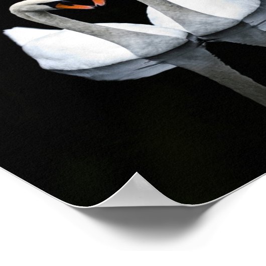 Reflecties of Love, Heart Shape, White Swans Poster (Hoek)