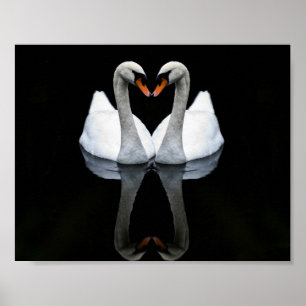 Reflecties of Love, Heart Shape, White Swans Poster
