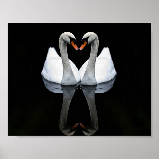 Reflecties of Love, Heart Shape, White Swans Poster (Voorkant)
