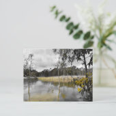 Reflecties onder de grijze hemel briefkaart (Staand voorkant)