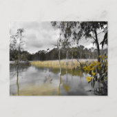 Reflecties onder de grijze hemel briefkaart (Voorkant)