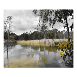 Reflecties onder de grijze hemel foto afdruk