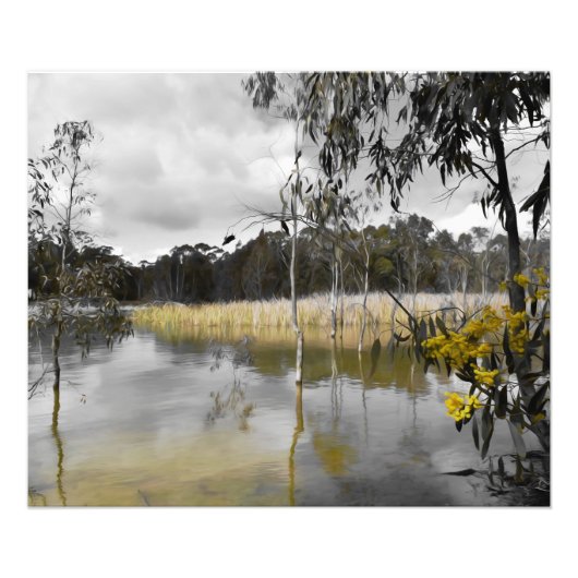 Reflecties onder de grijze hemel foto afdruk (Voorkant)