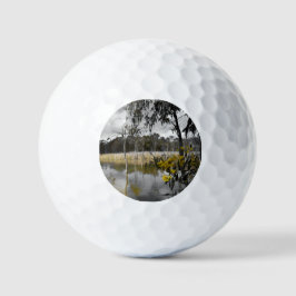 Reflecties onder de grijze hemel golfballen