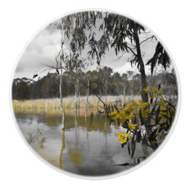 Reflecties onder de grijze hemel keramische knop