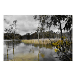 Reflecties onder de grijze hemel perfect poster