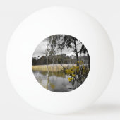 Reflecties onder de grijze hemel pingpongbal (Voorkant)