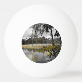 Reflecties onder de grijze hemel pingpongbal