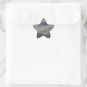 Reflecties op water ster sticker (Tas)